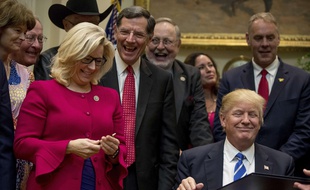 La républicaine Liz Cheney (en fuchsia) aux côtés de Donald Trump en 2017.