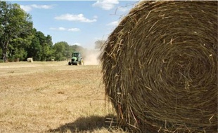L'institut national de la recherche agronomique estime que « cet épisode de sécheresse correspond à la moyenne à attendre dans les années à venir ».