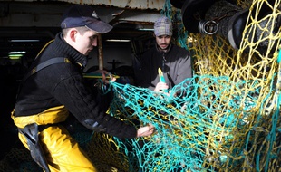 Des pêcheurs basés au port de Roscoff, en Bretagne, le 7 janvier 2013. Un Brexit est source d'inquiétudes pour le secteur.