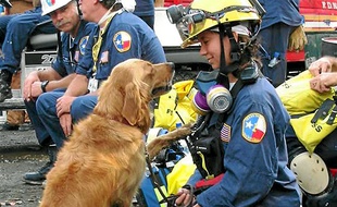 La chienne Bretagne et Denise Corliss sur le site des Twin Towers en 2001.