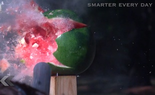 La pomme de terre n'a fait preuve d'aucune pitié.