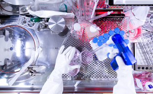 La biotech strasbourgeoise Transgene utilise des modèles mathémathiques et du séquençage haut débit pour produire des vaccins thérapeutiques. Transgene