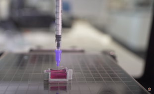 Bientôt des os imprimés en 3D directement dans le corps des patients