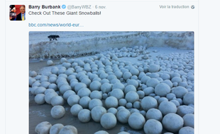 Fin octobre 2016, les habitants du village russe de Nyda ont découvert de mystérieuses boules de neige en plein cœur de la nature, au niveau du golfe de l’Ob, en Sibérie.