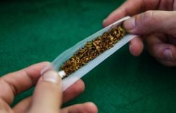 38 % des Français considèrent le cannabis dangereux, 71 % pour l’alcool