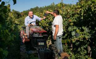 Pierre Gattaz, dans son domaine du Luberon, s'amuse beaucoup sur son tracteur