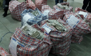 Les douaniers de Périgueux ont saisi 248 kg de cannabis sur l'A89