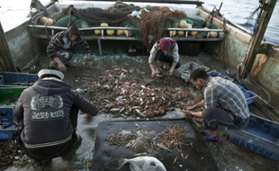 Des pêcheurs de la bande de Gaza reviennent d'une zone au-delà des six milles nautiques, le 3 avril 2016
