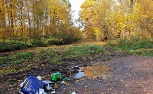 Des déchets sur les bords des routes. (illustration)