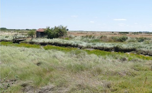 Le parc naturel régional doit permettre de valoriser le patrimoine naturel.