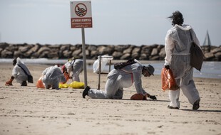 Des volontaires nettoient les plages d'Israël après une marée noire, fin février 2021.