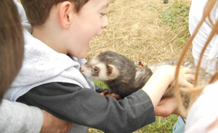 L'association toulousaine Câlinsoins propose de la zoothérapie.