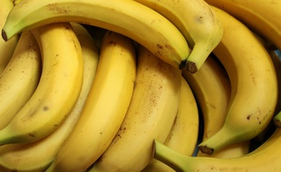 Illustration de bananes.