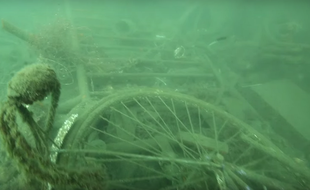 Extrait de la vidéo de Sea Sheperd dans le Vieux-Port de Marseille
