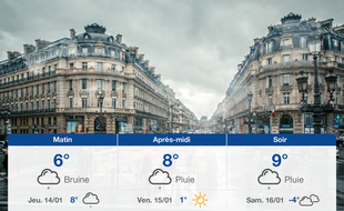Météo Paris: Prévisions du mercredi 13 janvier 2021