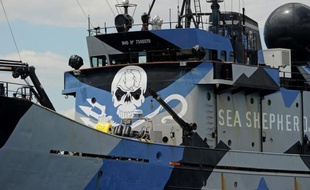 L'association écologique américaine Sea Shepherd a indiqué dimanche utiliser des drones pour traquer et harceler les navires japonais qui pêchent la baleine dans l'océan Austral.