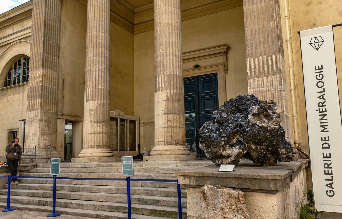 Vol d'or au Muséum d'histoire naturelle à Paris : Une Chinoise mise en examen et écrouée
