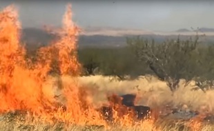 L'explosion de la cible révélant le sexe du bébé a provoqué le début d'un incendie.