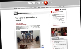Capture d'écran du site Norte Digital montrant des chiens errants venus aux funérailles de Margarita Suarez, la vieille dame qui leur donnait à manger, à Merida, au Mexique, le 15 mars 2015.