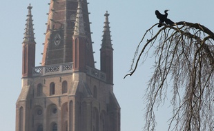 Vue de Bruges, en Belgique.
