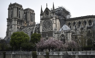 Les commerçants dans les environs de l'île de la Cité ne sont pas du tout inquiets par la présence de plomb à la suite de l'incendie de la cathédrale Notre-Dame en avril dernier.