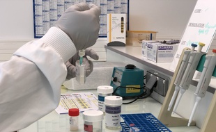 Un des ateliers de confection du révélateur utilisé pour le test sérologique dans l'usine de production de Bio-Rad, à Steenvoorde, dans le Nord.