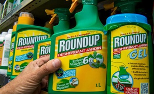 Le désherbant "Roundup" produit par Monsanto en vente dans un magasin de jardinage de Lille, le 14 juin 2015