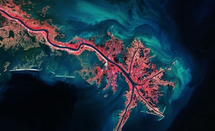 Le Mississippi, photographié de l'espace en 2013, a l'apparence d'un vaisseau sanguin vu au microscope.