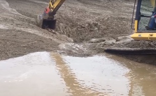 Equipés d'une pelleteuse, les ouvriers d'un chantiers ont réussi à sauver deux jeunes faons pris au piège dans la boue.