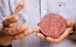 Un steak haché composé de viande artificielle cultivée «in vitro», par le chercheur de l'université de Maastricht, Mark Post.