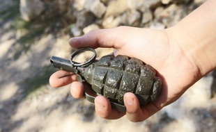Une grenade. Illustration.
