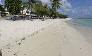 En Guadeloupe, les plages et restaurants sont désespérément vides.