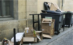 Des habitants de Bordeaux ont peur que les poubelles ne s'accumulent sur les trottoirs.