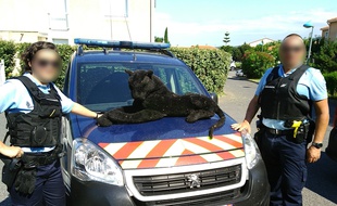 La peluche retrouvée par les gendarmes