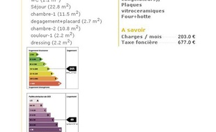 Les étiquettes de performance énergétique, obligatoires sur les annonces immobilières à compter du 1er janvier 2011.