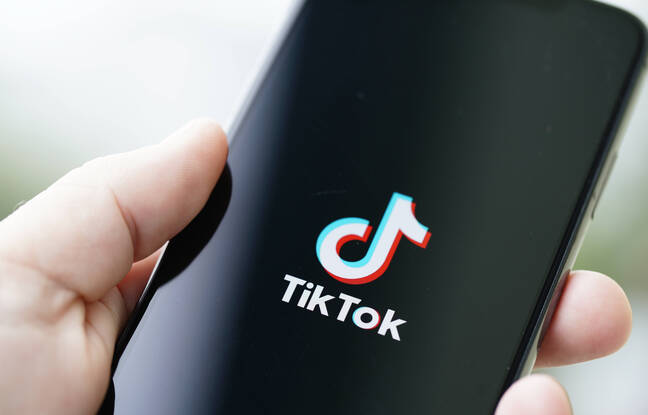 Si vous acceptez d'arrêter TikTok, une entreprise américaine promet de vous payer