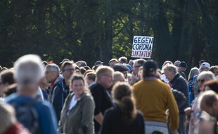 Manifestation contre les mesures sanitaires en Allemagne, illustration