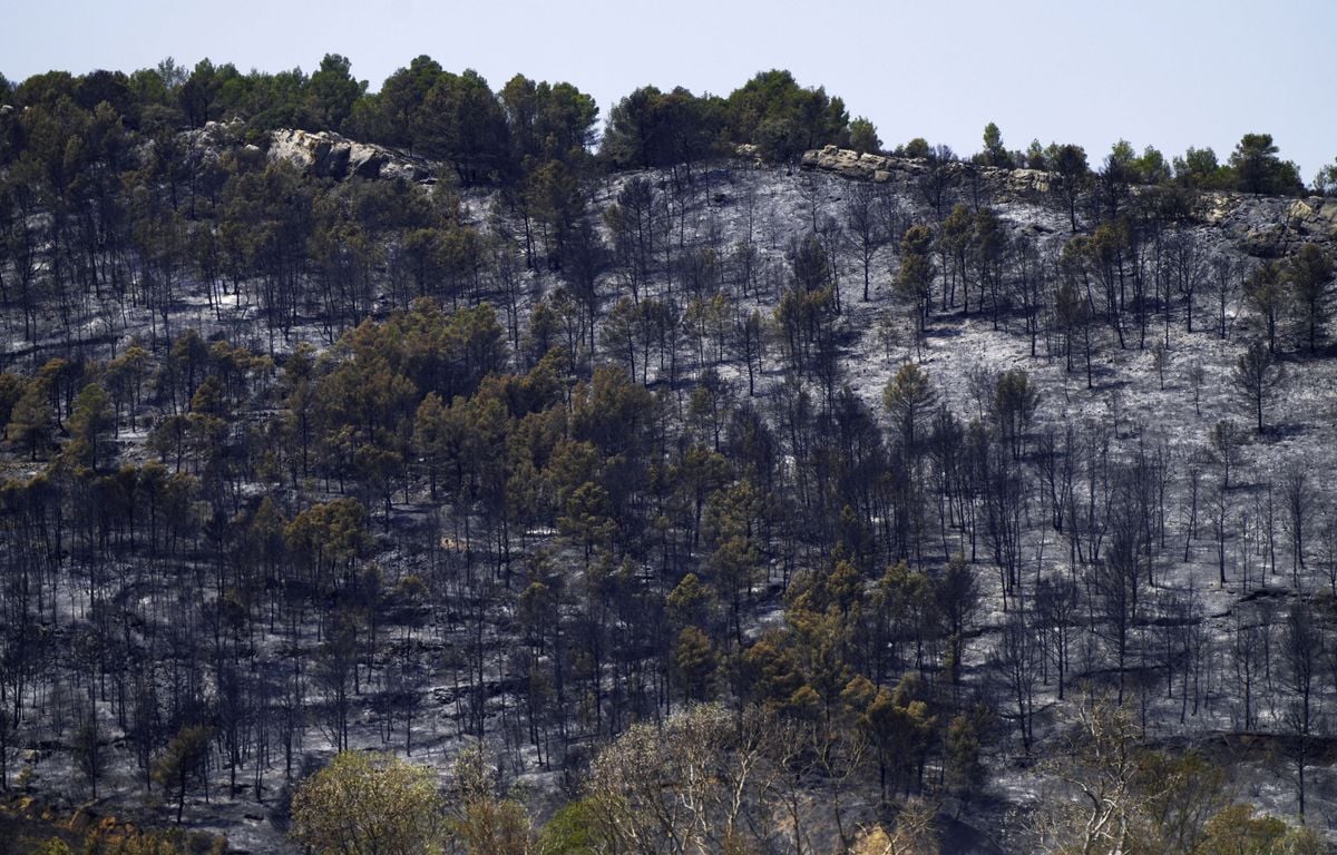 Incendie dans l'Aude : Le feu qui a parcouru 16.000 hectares est « maîtrisé », annonce la préfecture