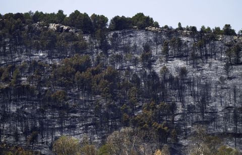 Le feu qui a parcouru 16.000 hectares est « maîtrisé »