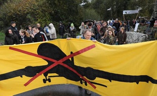 Des opposants au projet d'aéroport de Notre-Dame-des-Landes, près de Nantes, manifestent le 8 novembre 2014