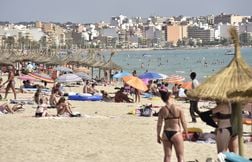 Une touriste mordue par un poisson à Majorque, la plage évacuée en urgence