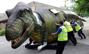 Des dinosaures animés sont livrés au zoo de Chester, en Angleterre, le 15 juin 2011.