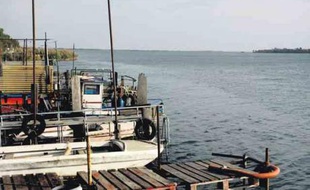 Des habitants de Port-Saint-Louis-du-Rhône ont participé à l’étude de l’Asep et du WWF.