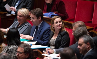 Axelle Lemaire, la secrétaire d'Etat au Numérique, à l'Assemblée, le 2 décembre 2014.