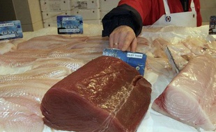 Une poissonnière présente un morceau de thon rouge, Messein, France, le 15 janvier 2010.