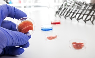 La viande cultivée en passe de sortir du labo?