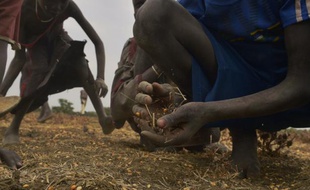 Des enfants ramassent des graines tombées d'un sac après une distribution d'aide alimentaire dans le village de Nyal, au Soudan du Sud, le 24 février 2015