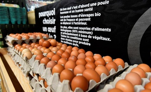 Des œufs sur une étagère d'une supermarché