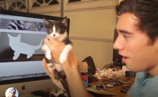 Zach King, le magicien du web.