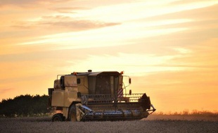 Les agriculteurs européens risquent de faire les frais du bras de fer que se livrent les gouvernements européens sur le futur budget de l'UE qui pourrait entraver l'entrée en vigueur de la nouvelle Politique agricole commune (PAC) prévue le 1er janvier 2014.
